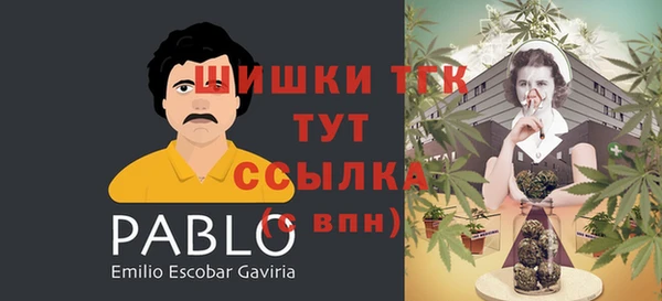 apvp Абаза