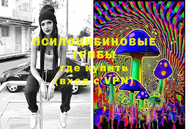 mdma Новодвинск