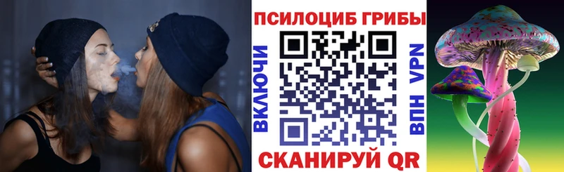 OMG ТОР  Сорск  Псилоцибиновые грибы Psilocybine cubensis  наркота 